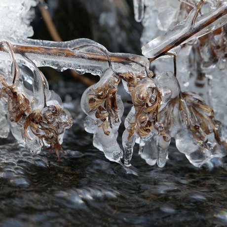 The most beautiful pictures of your accommodation in Ötztal The most beautiful pictures of your accommodation in Ötztal