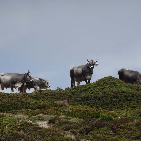 The most beautiful pictures of your accommodation in Ötztal The most beautiful pictures of your accommodation in Ötztal