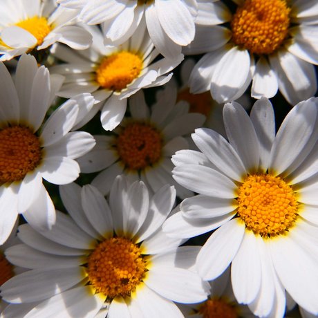 The most beautiful pictures of your accommodation in Ötztal The most beautiful pictures of your accommodation in Ötztal