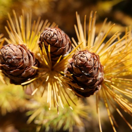 The most beautiful pictures of your accommodation in Ötztal The most beautiful pictures of your accommodation in Ötztal