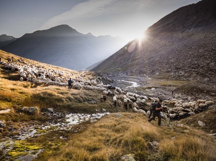 Wandern in Vent: Natursommer pur Wandern in Vent: Natursommer pur