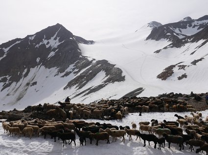 Wandern in Vent: Natursommer pur Wandern in Vent: Natursommer pur