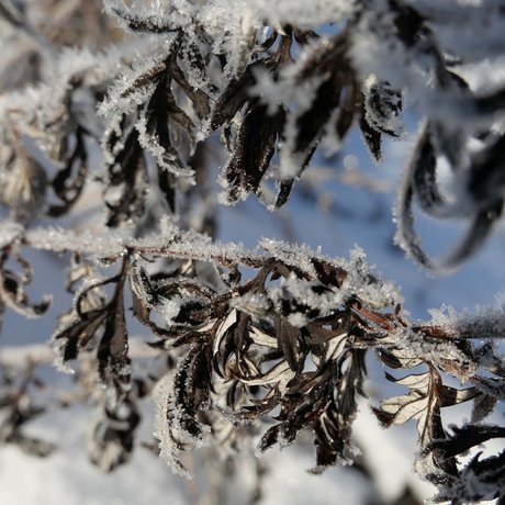 The most beautiful pictures of your accommodation in Ötztal The most beautiful pictures of your accommodation in Ötztal