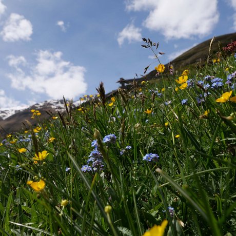 The most beautiful pictures of your accommodation in Ötztal The most beautiful pictures of your accommodation in Ötztal