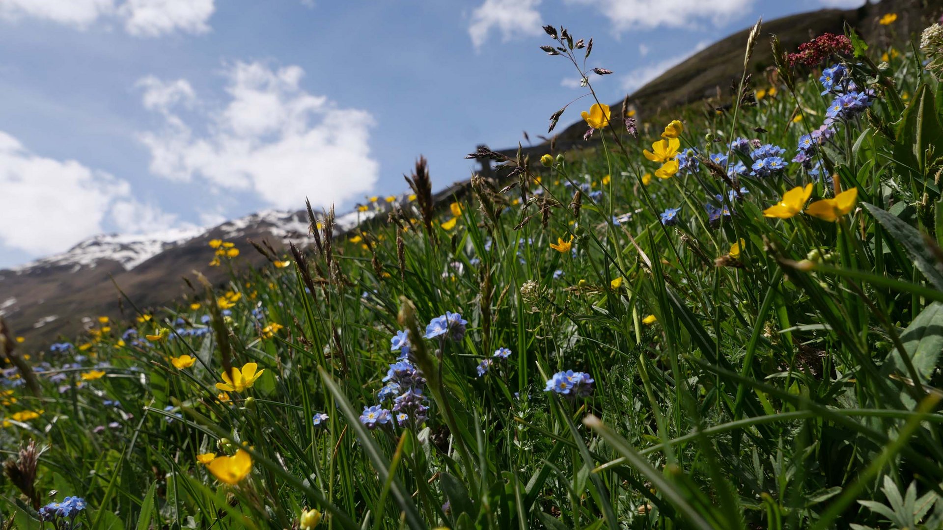Weinleinshof Appartements: Ihr Urlaub im Ötztal Weinleinshof Appartements: Ihr Urlaub im Ötztal