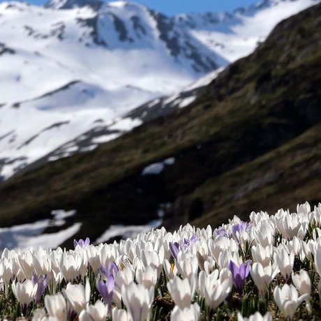 The most beautiful pictures of your accommodation in Ötztal The most beautiful pictures of your accommodation in Ötztal