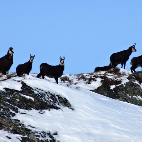 The most beautiful pictures of your accommodation in Ötztal The most beautiful pictures of your accommodation in Ötztal